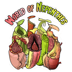 World of Nepenthes aka Pitcher Plants