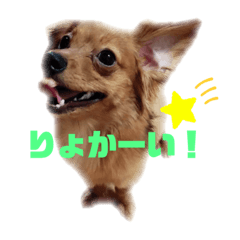 yamada_20200928174500