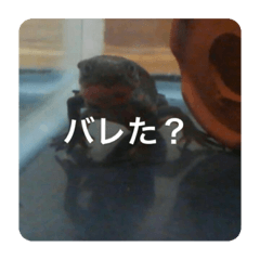 Aoi_20200928183328