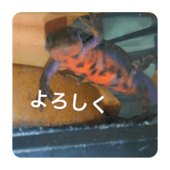 Aoi_20200928182850