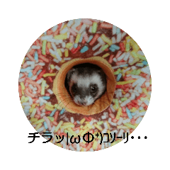 くーちゃんの1日Part2