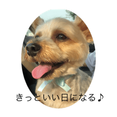 ayumi_20200929100531