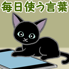 Black kitten "Kuromaru"