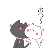 3 cats to the greeting