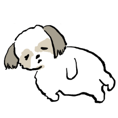 wagaya no shihtzu