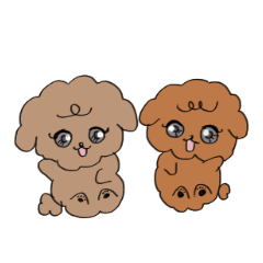 prettyToy Poodle vo.1