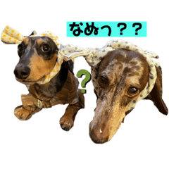 ayumi_20200929165731