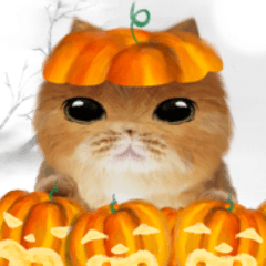Cute Cat Big Stickers- Halloween
