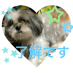 eririn_20200929171303
