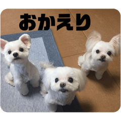 rina_20200929184528