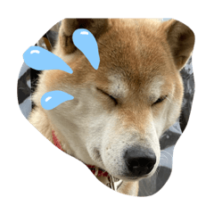 kanchaaan_20200929195315