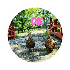 Smile_20200929195725