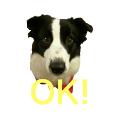 kazuki_20200929215324