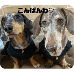 ayumi_20200930042100