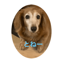 cocoa_20200930062349