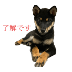 Tetsu_20200929212313