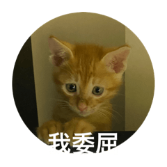 蛋餅小怪獸