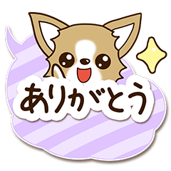 Chihuahua's Sticker! (Speech version)
