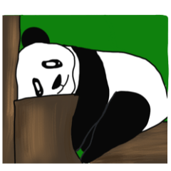 Pandas Pandas3