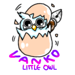 Vanko little owl