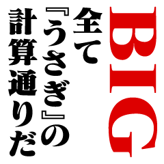 "USAGI"Calculation/name/BIG