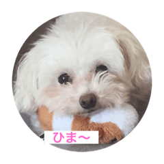 mimi_20200930121805