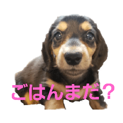 YUUKO_20200930115131