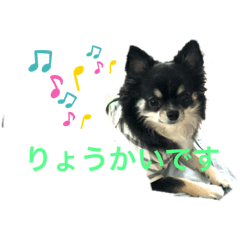 Melon_20200929163351