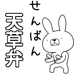 BIG Dialect rabbit  [amakusa]