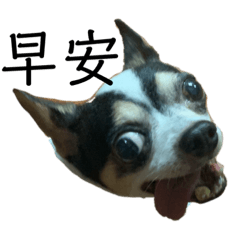 隨性ㄉ貼圖