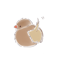 cute birds a