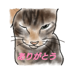 nekomaru_20201001070024