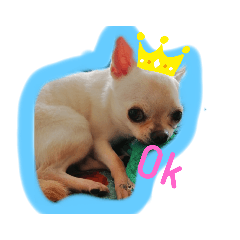 emily_20200930204053