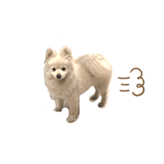 chihiro_20200930181122