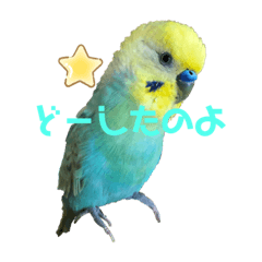 Komeizi514_20200930233148