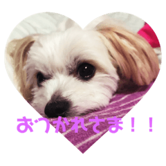 aoi_20201001013441