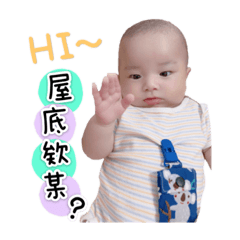 吳尾熊啪趴照(⁎⁍̴̛ᴗ⁍̴̛⁎)