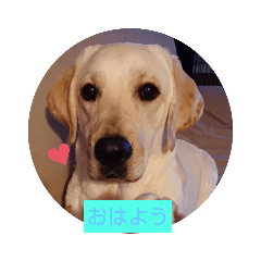 tonton_20201001121037