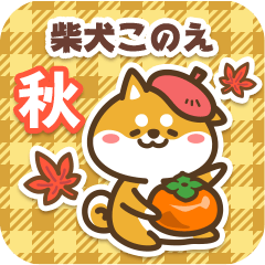 Shiba Konoe in Autumn 2