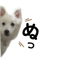 omochi_20200930193714