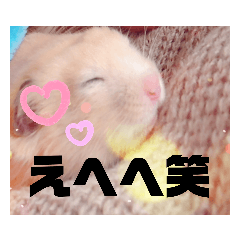 yunnosutanpu_20200930174808