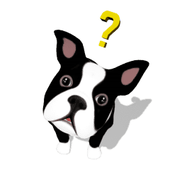 かわいい子犬 ボストン テリア Line スタンプ Line Store かわいい子犬 ボストン テリア Line スタンプ Line Store