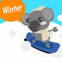 Koala Senior in winter by English