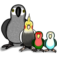 瘋狂鸚鵡鳥東西