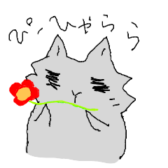 In the past, white cat.
