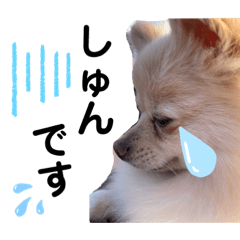 hikari_20201001163358