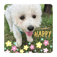 Natsumi_20201001182646