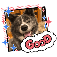 akiko_20201001223152