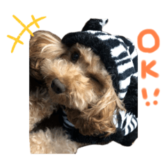 ayumi_20201002001504