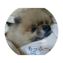 mori_20201001201822